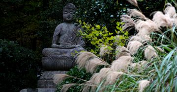 Il Giappone zen, tra natura e spiritualità